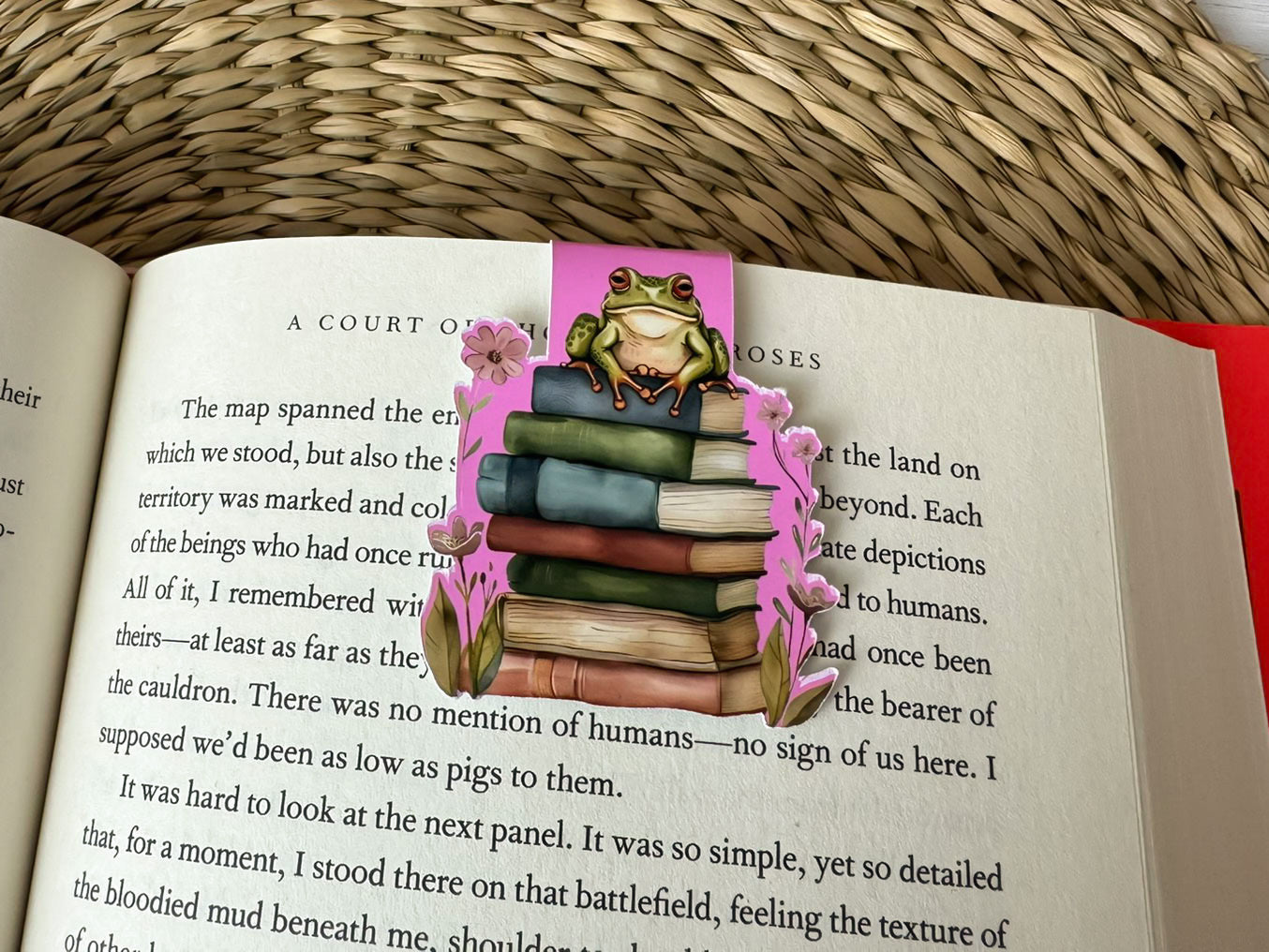 Frog on Books Magnetic Bookmark