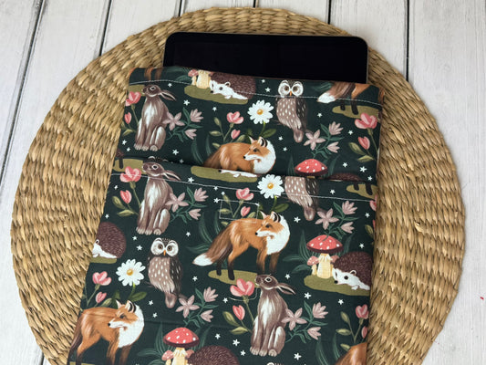 Fox and Owl Book Cover