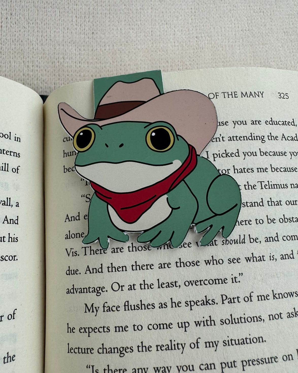 Cowboy Frog Magnetic Bookmark